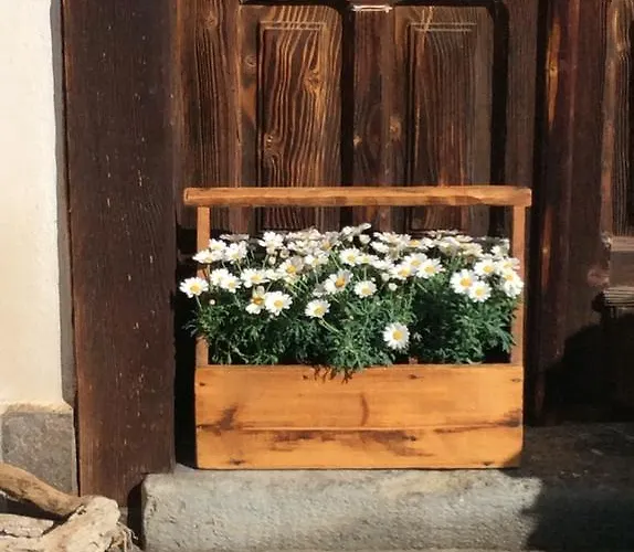 게스트하우스 Casa Rossodisera