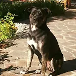B&B Rossodisera 3*
