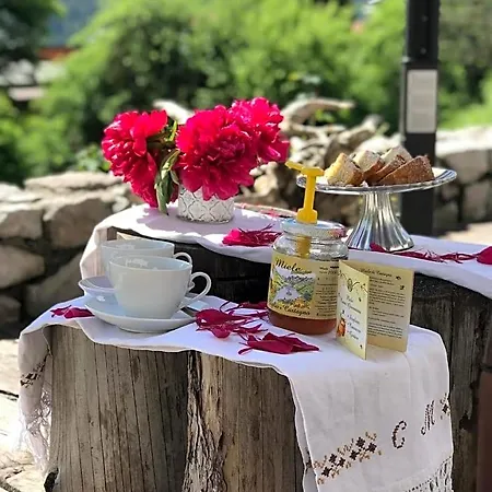Rossodisera 3*