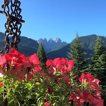 Rossodisera Bed & Breakfast