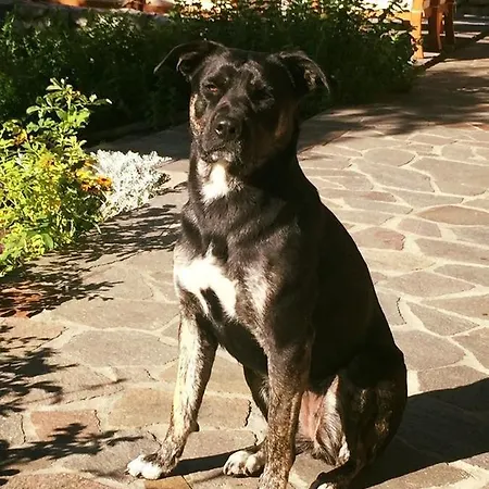 Rossodisera 3*