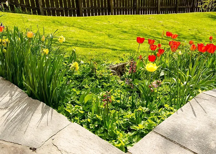 Casa Rossodisera دوميج دي كادور