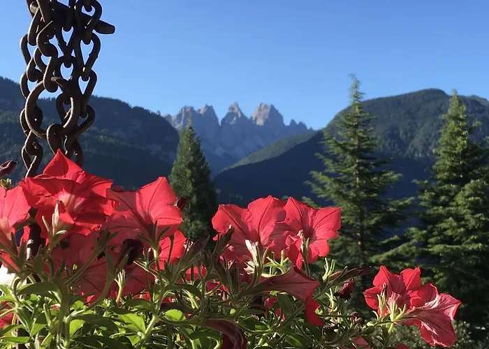 Maison d'hôtes Rossodisera Domegge di Cadore